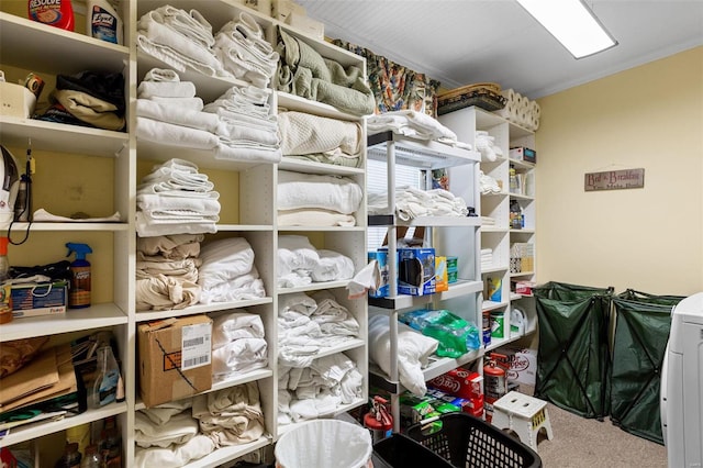 15 Mill St, Elsah, IL 62028 - view of storage room