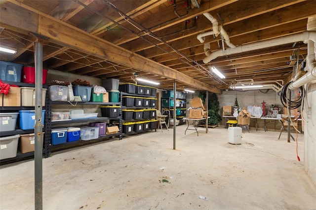 15 Mill St, Elsah, IL 62028 - view of unfinished basement