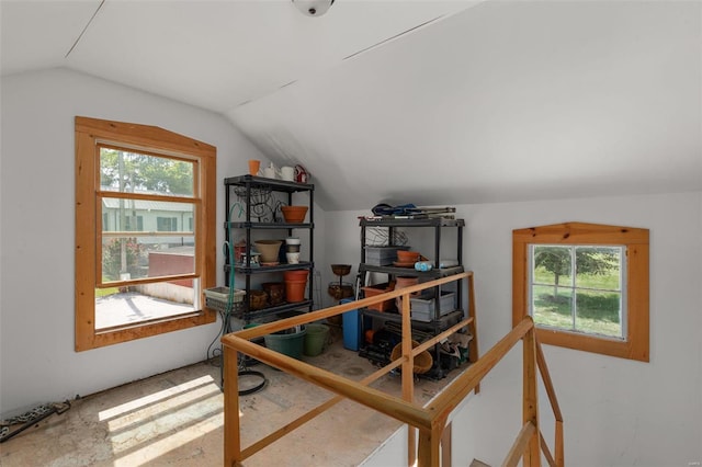 15 Mill St, Elsah, IL 62028 - bonus room with vaulted ceiling and plenty of natural light