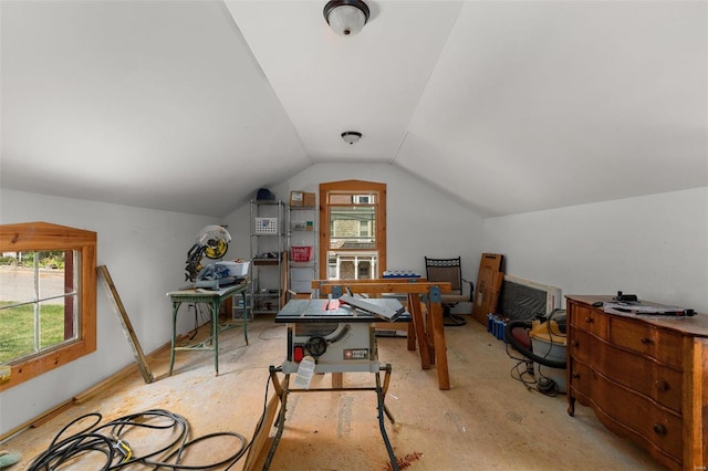 15 Mill St, Elsah, IL 62028 - bonus room with vaulted ceiling