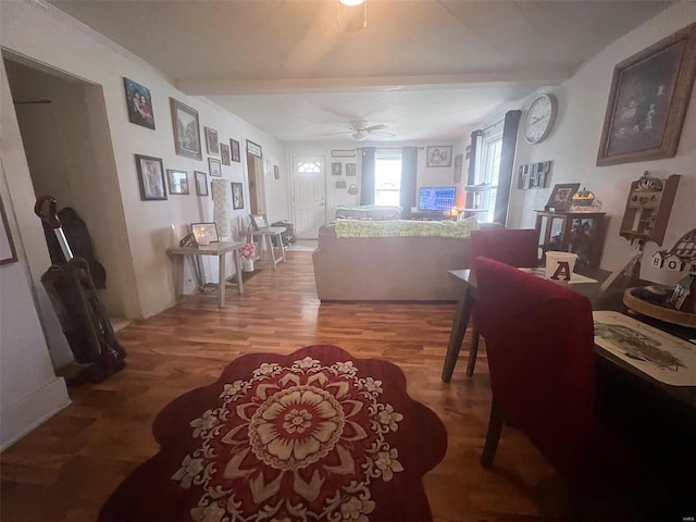 429 N Kennedy Blvd, Vandalia, IL 62471 - living room featuring ceiling fan and light wood-type flooring