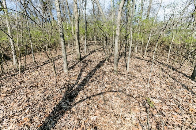 740 Forest Ave, Valley Park, MO 63088