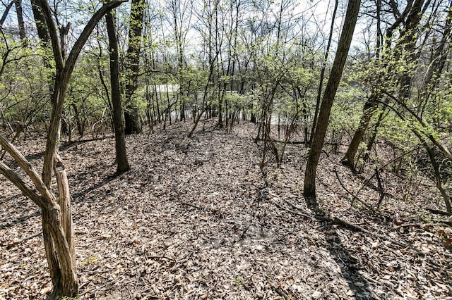 740 Forest Ave, Valley Park, MO 63088