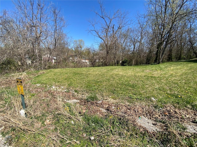 402 S Bellevue St, Jackson, MO 63755