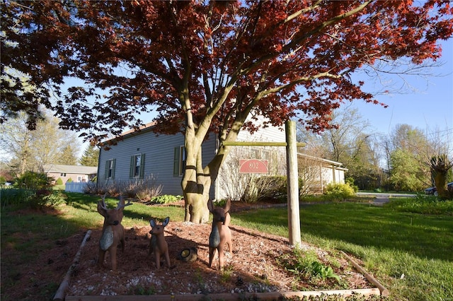 view of home's exterior with a yard