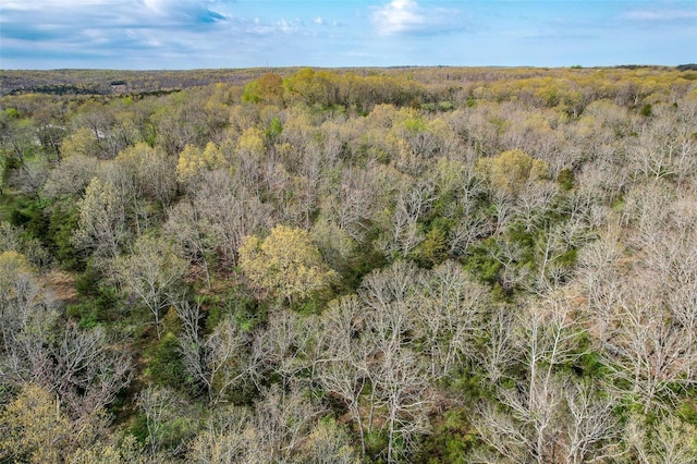 29455 State Highway Ac, Lebanon, MO 65536 - view of wooded area