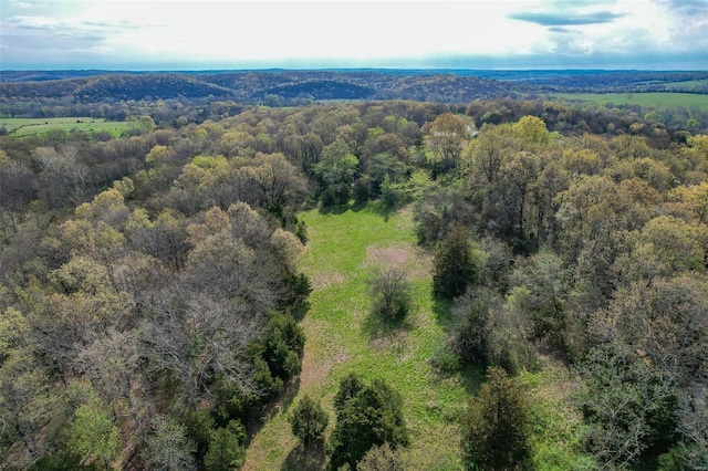 29455 State Highway Ac, Lebanon, MO 65536 - drone / aerial view of a forest