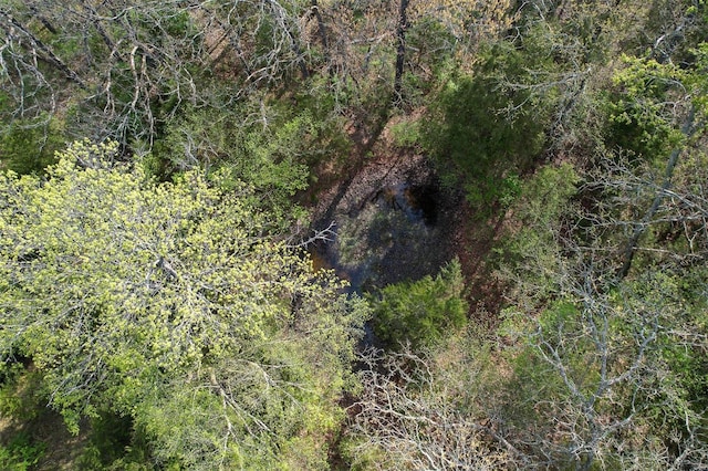 29455 State Highway Ac, Lebanon, MO 65536 - view of local wilderness