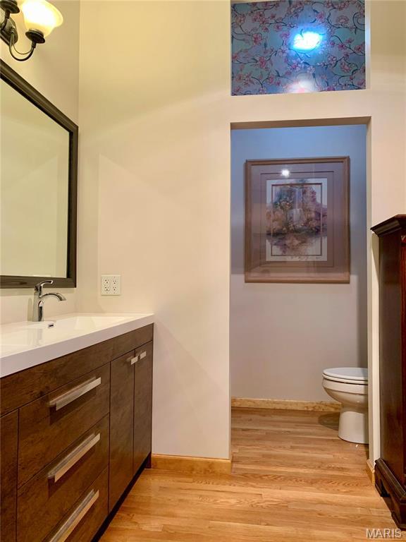 24613 Shady Oak Pl, Perry, MO 63462 - bathroom featuring wood finished floors, toilet, vanity, and baseboards