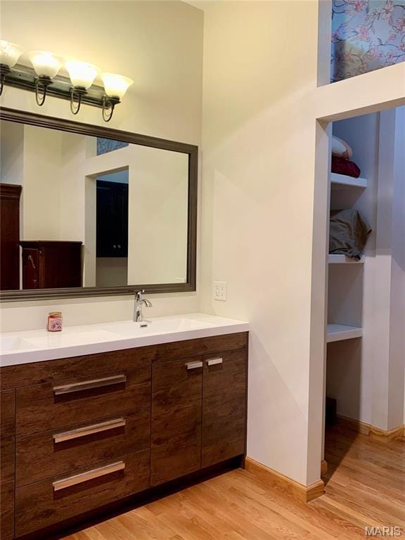 24613 Shady Oak Pl, Perry, MO 63462 - bathroom featuring wood finished floors, vanity, and baseboards