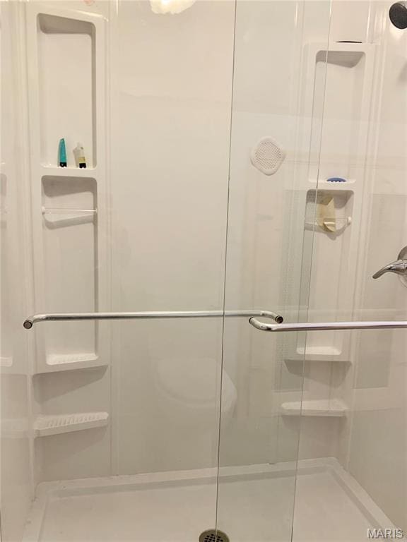 24613 Shady Oak Pl, Perry, MO 63462 - full bath with a shower stall