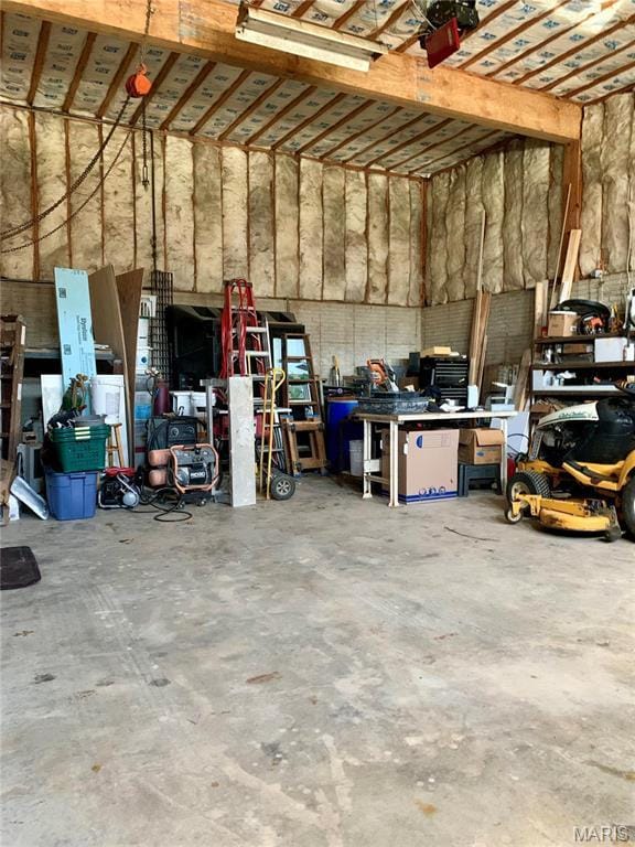 24613 Shady Oak Pl, Perry, MO 63462 - view of garage