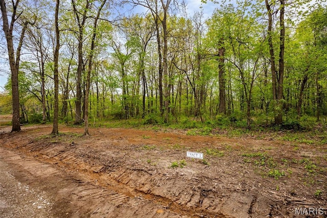 107 Weeks Ln, Litchfield, IL 62056 - photo 2