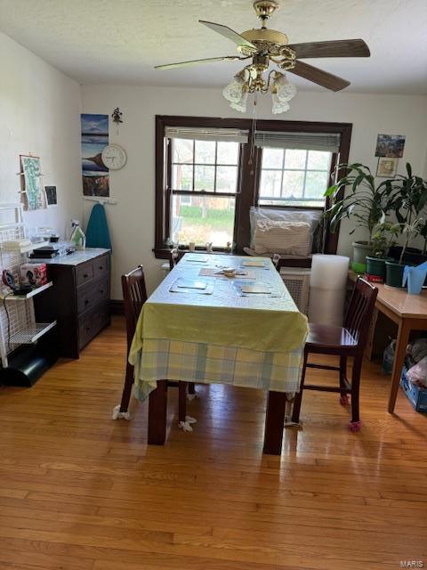 8245 Glen Echo Dr, Saint Louis, MO 63121 - dining space with light wood-type flooring and a ceiling fan