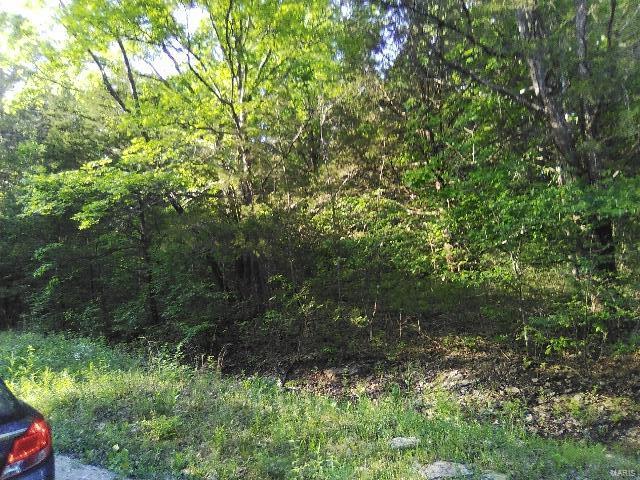 0 4 Terri Hill Dr, Cedar Hill, MO 63016