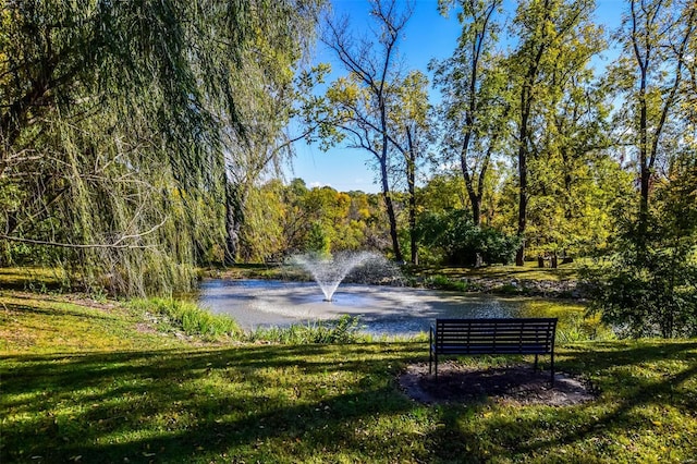 16093 Hwy W, Clarksville, MO 63336 - view of community with a water view, a yard, and a wooded view