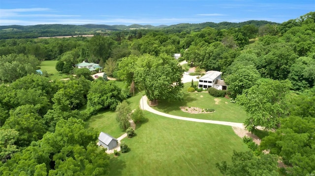 16093 Hwy W, Clarksville, MO 63336 - view from above of property featuring a forest