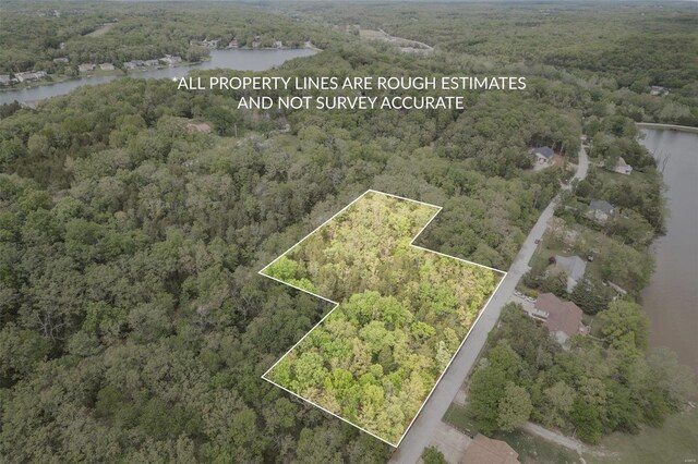 10328 Lake Hill Trl, Hillsboro, MO 63050 - photo 2