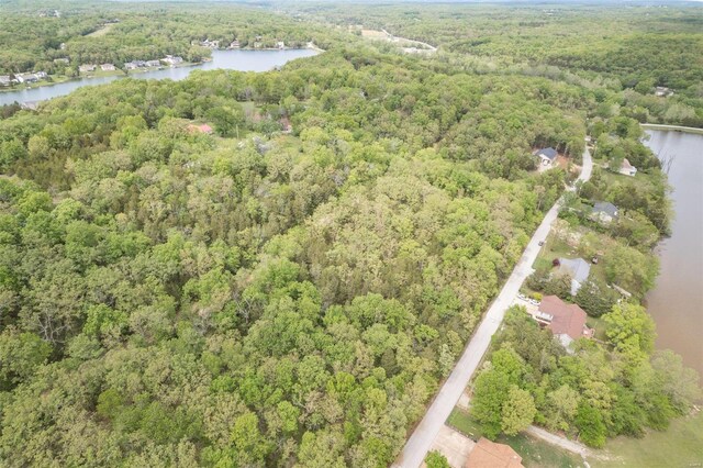 10328 Lake Hill Trl, Hillsboro, MO 63050 - photo 13