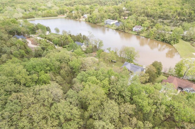 10328 Lake Hill Trl, Hillsboro, MO 63050 - photo 22