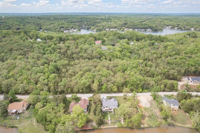 10328 Lake Hill Trl, Hillsboro, MO 63050 - photo 25