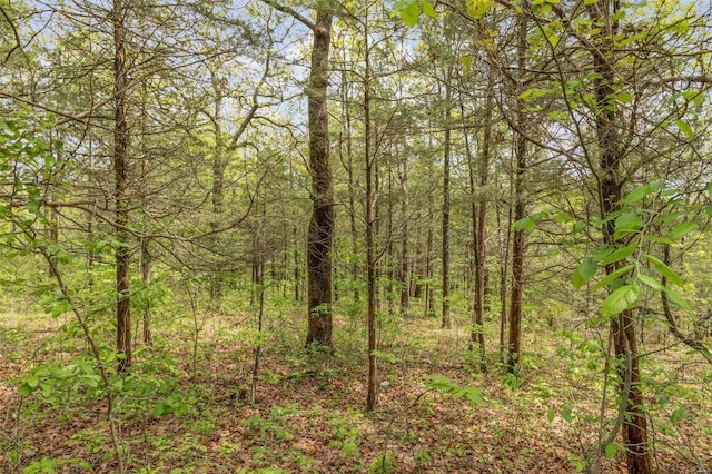 10328 Lake Hill Trl, Hillsboro, MO 63050 - photo 17