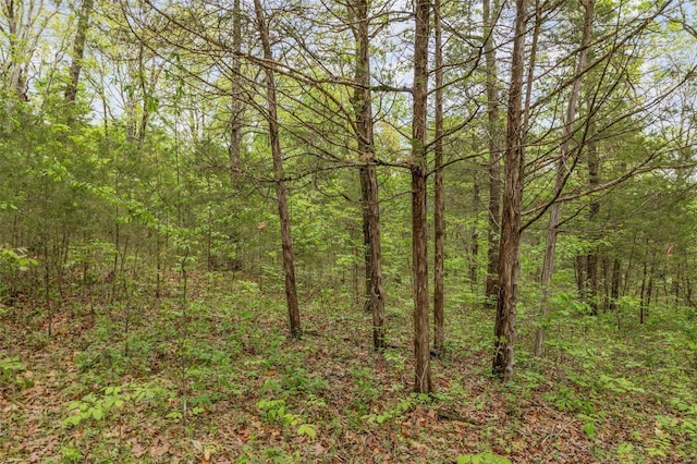 10328 Lake Hill Trl, Hillsboro, MO 63050 - photo 20