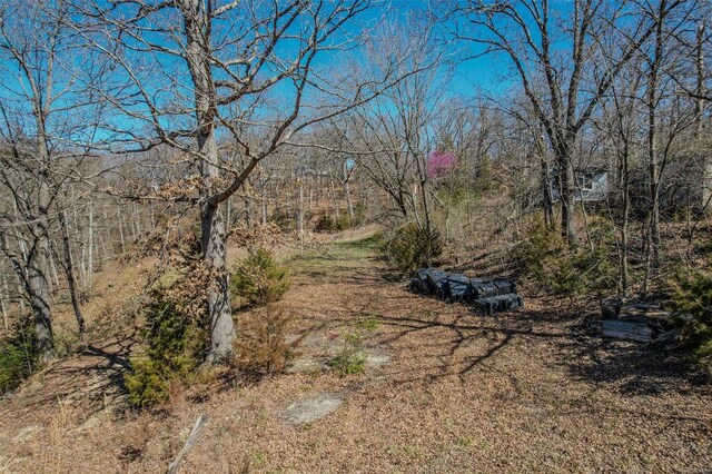 88 Accurate Ave, Sunrise Beach, MO 65079 - photo 21