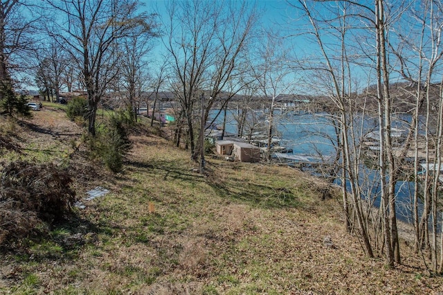 88 Accurate Ave, Sunrise Beach, MO 65079 - photo 24