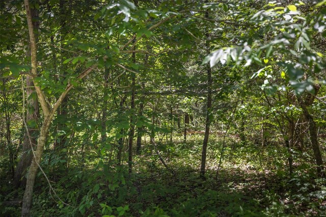 2543 Alpine Woods Dr, Innsbrook, MO 63390