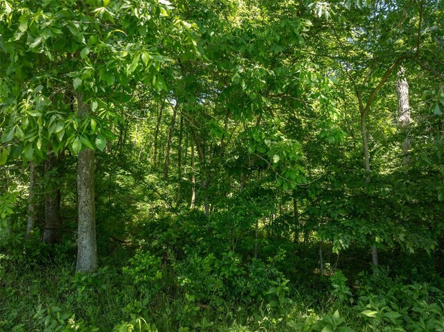 2543 Alpine Woods Dr, Innsbrook, MO 63390