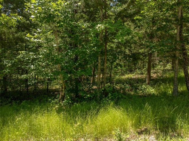 2543 Alpine Woods Dr, Innsbrook, MO 63390