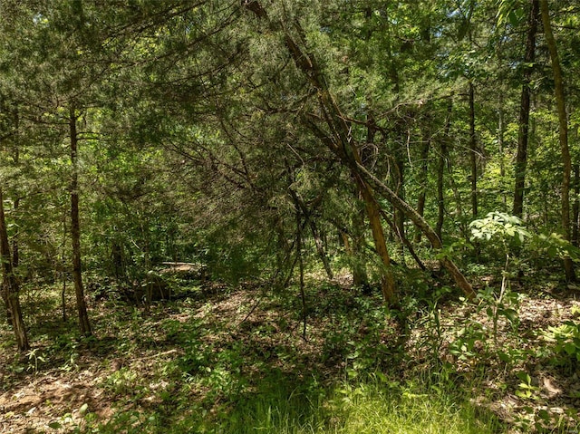 2543 Alpine Woods Dr, Innsbrook, MO 63390