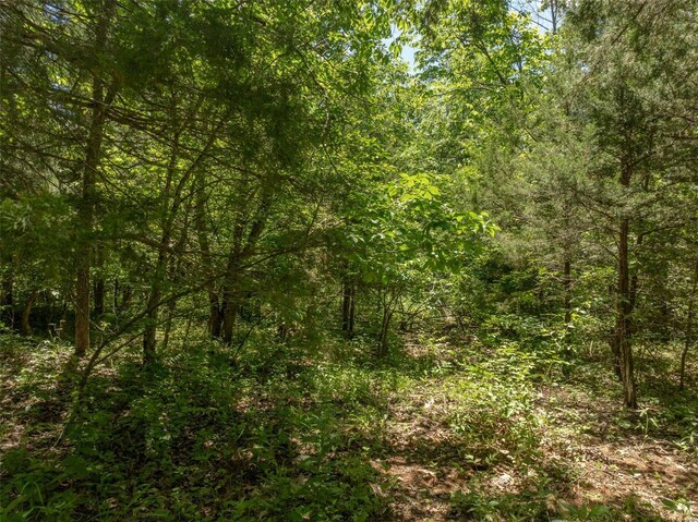 2543 Alpine Woods Dr, Innsbrook, MO 63390