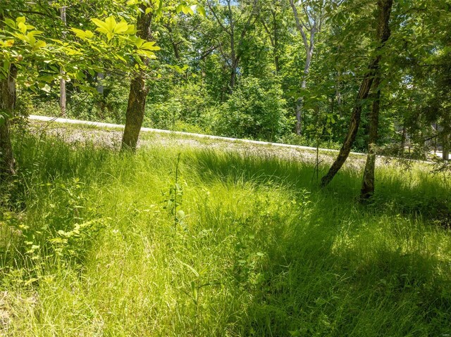 2543 Alpine Woods Dr, Innsbrook, MO 63390