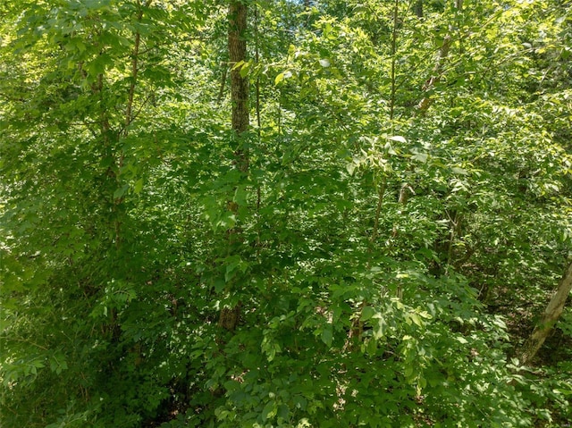 2543 Alpine Woods Dr, Innsbrook, MO 63390