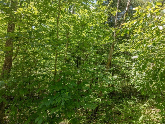 2543 Alpine Woods Dr, Innsbrook, MO 63390