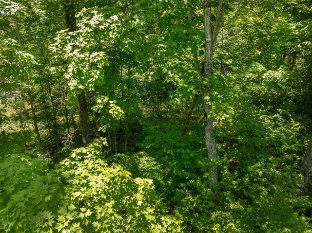 2543 Alpine Woods Dr, Innsbrook, MO 63390