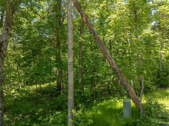 2543 Alpine Woods Dr, Innsbrook, MO 63390
