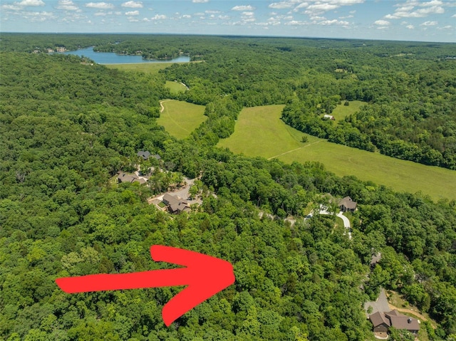 2543 Alpine Woods Dr, Innsbrook, MO 63390