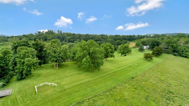 15933 Hwy W, Clarksville, MO 63336 - photo 39