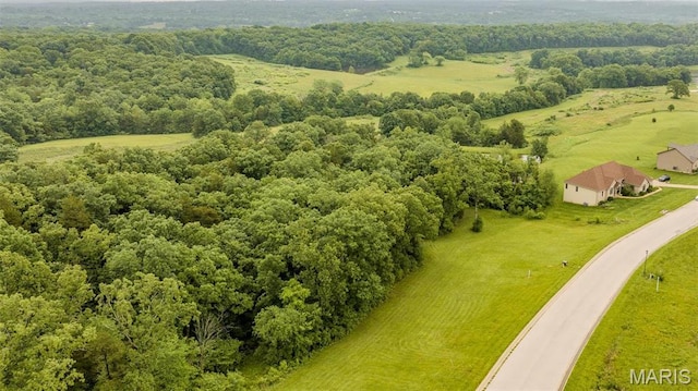 126 Rainbow Lake Dr, Villa Ridge, MO 63089 - photo 1