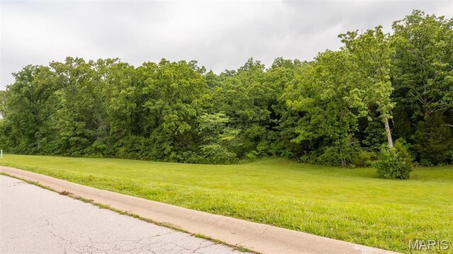 126 Rainbow Lake Dr, Villa Ridge, MO 63089 - photo 6