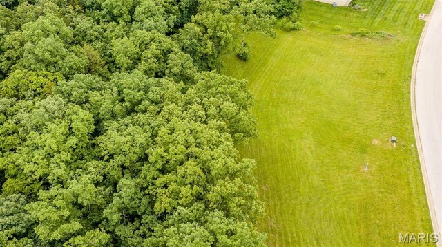 126 Rainbow Lake Dr, Villa Ridge, MO 63089 - photo 7