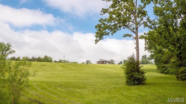 126 Rainbow Lake Dr, Villa Ridge, MO 63089 - photo 8