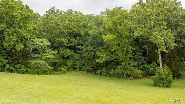 126 Rainbow Lake Dr, Villa Ridge, MO 63089 - photo 9