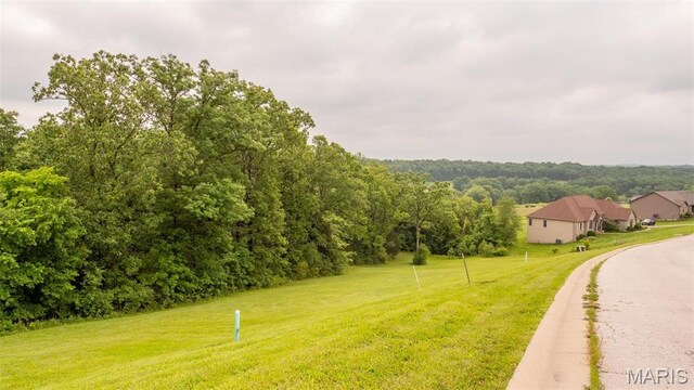 126 Rainbow Lake Dr, Villa Ridge, MO 63089 - photo 16