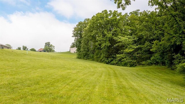 126 Rainbow Lake Dr, Villa Ridge, MO 63089 - photo 17