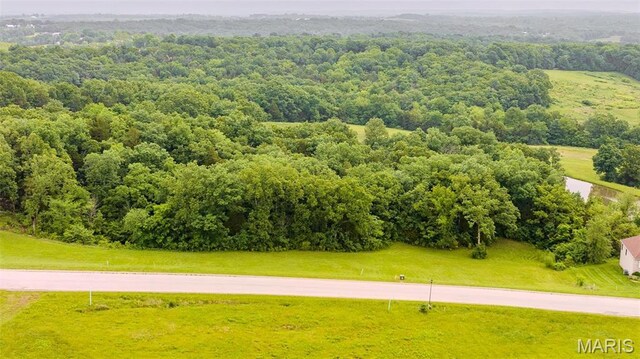 126 Rainbow Lake Dr, Villa Ridge, MO 63089 - photo 23