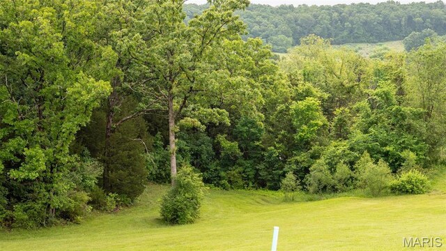 126 Rainbow Lake Dr, Villa Ridge, MO 63089 - photo 24